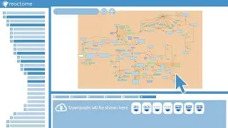 Reactome Pathway Browser