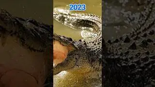 CROCODILE 🐊 2023 VS DEMON CROCODILE 1900 BCE