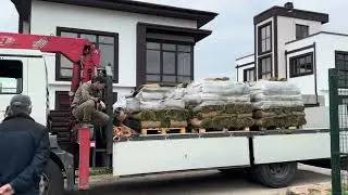 Лучшие ландшафтники в Москве и области https://t.me/RAI_Landscaping7