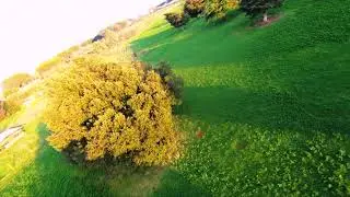 FPV|никогда не разоружать