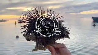 Foods in Season &mdash; Wild & Fresh Ingredients for Chefs | As Heard on Chef&rsquo;s PSA Podcast