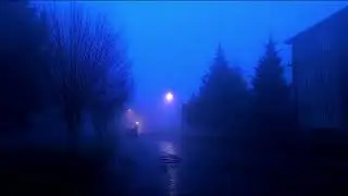you're safe here