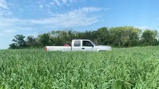 How to seed corn with an air drill&hellip;. Cowboy style