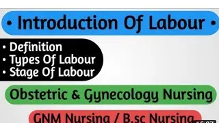 Stages of labour   ll   latent phase, active phase, transition phase ll  @nursingstudymaterial6180