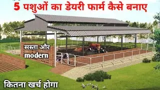 Wow! How to set up a 5-animal dairy farm / dairy farming