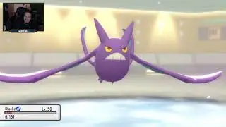 Gebirges VS Mishiru! Durchspielteam Match &bull; Pok&eacute;mon SDLP (BDSP)