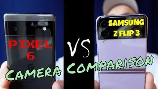 Pixel 6 vs Z Flip 3 Camera Comparison