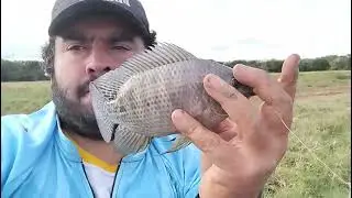 Pescaria de til&aacute;pia &eacute; bem simples,vejam vcs mesmo.so n&atilde;o esque&ccedil;am a comida preferida delas!!!!