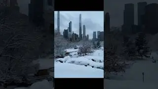 Magical Snowfall in Central Park ❄️ | Peaceful Winter View