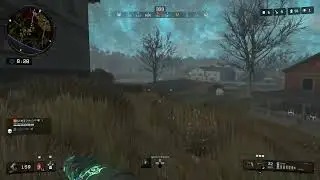 Live blackout all sorts