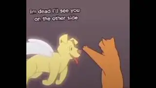 Кот видит своего умершего друга-собаку ❤️😢🥺