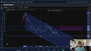 zkRace ZERC CRYPTO, PRICE PREDICTION, TARGETS, ANALYSIS AND OPINION TODAY