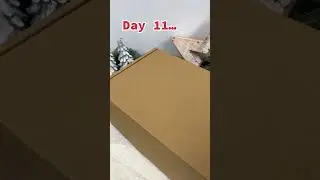 BOGOF NOTEBOOKS