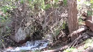 September 2013 Floods - Jeffco Open Space