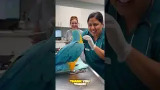 Parrot Roasts the Doctor 😂 #funny #talkingparot #viral #parrot #funnyparrot