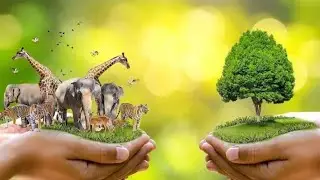 विश्व पर्यावरण दिवस स्टेटस  World Enviroment Day | Environment Day status video 2022 |