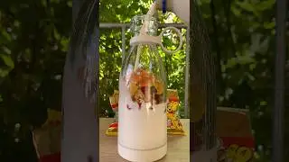 Memories smoothie #juiceblender #juiceconcentrate #fruitsmoothie #smoothie #milkshake