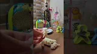 breakfast ideas for kids,идеи завтрака для малышей #food #cooking #еда #breakfast #рецепт #рецепты
