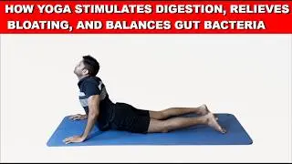 How yoga stimulates digestion, relieves bloating, and balances gut bacteria