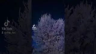 зима иней обработка день-ночь