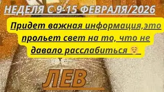 ЛЕВ ♌️ ТАРОСКОП С 9-15 ФЕВРАЛЯ/2026 от Alisa Belial 