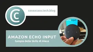 Le Skill di Alexa | Sample su Amazon Echo Input