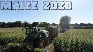 Chopping Maize 2020 - Handleys