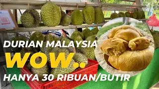 XO | OCHEE | KAMPUNG-di Durian Eco