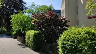 VIP mit Trecker im Stadtteil Bremen Burg-Lesum