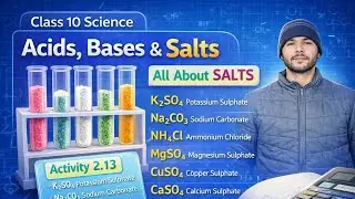 🔥 Class 10 Science Chapter 2 | More About Salts | Activity 2.13 | Acids, Bases and Salts