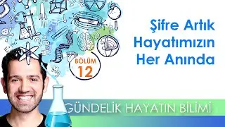 Gündelik Hayatın Bilimi | 12.Bölüm