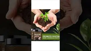 SOIL ACTIVATOR 🌱Mineral  SourceFast Plant Growth🌿🌿🌿🌿🌿🌿🌿🍃#trending #ytshorts #environment✨