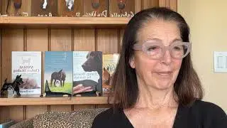 Animal Empath Journey Q&A