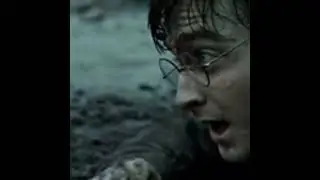 Willy Wigger Voldemort