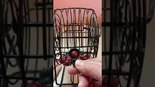 JUNWRROW Deluxe Bingo Set  Includes 1000 Colorful Chips Review, Poor quality
