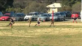 Simply Footy - Bombers