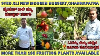 Syed ali new modern nursery | Fruiting plants nursery