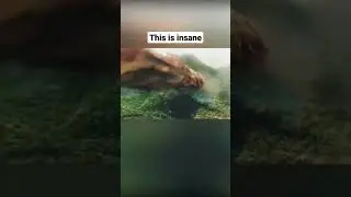 #shorts #monkey #meme #simulation