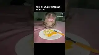 THAT ONE RISTEDAR KA BACHHA| DARK PHEONIX| Video Credit: @JDMPHNXN #memes #ristedaar
