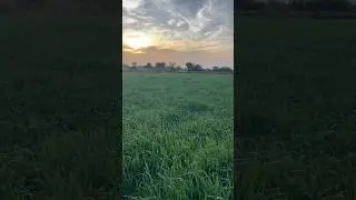 ज़िन्दगी का सफ़र अजनबी 💯💯 #shorts #short #shortvideo
