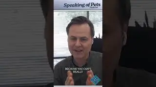 Why Keeping Your Pet Food Bag Might be BETTER than Storing it in a Container