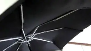 Paraplu