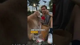 Perpetually Single. Original Doggy Song