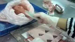 Multi Color Powder Compact by Tranditional Powder Pressed Machine