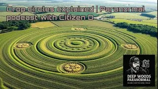 Can You Solve the Crop Circle Puzzle?