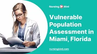 Vulnerable Population Assessment in Miami, Florida - Essay Example