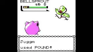 Beating up Monks and Meganium Sucks in Pokemon Silver