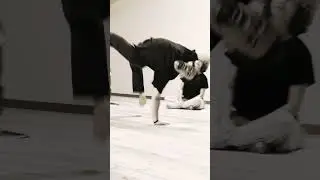 Spinal Movement