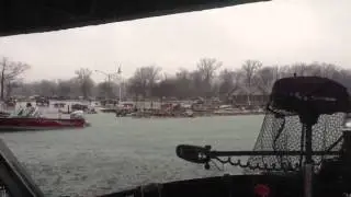 Safe from storm under bridge