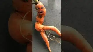 Talking carrot &ldquo; please don&rsquo;t eat me for Christmas&rdquo; Mum making us laugh as always #mum #memories